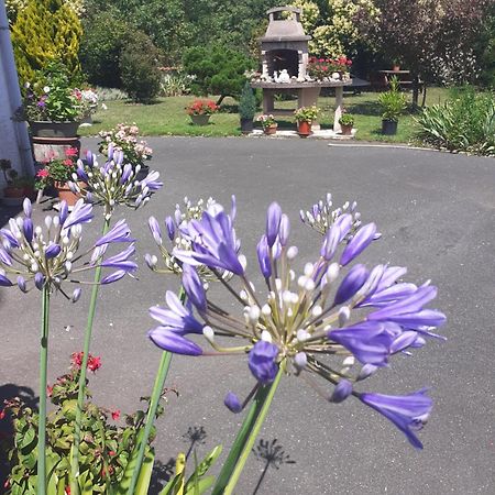 Les Hirondelles Du Paradis 6 Rue Des Oiseaux Bed & Breakfast Beaulieu-sur-Sonnette Exterior foto